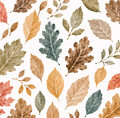 Image Not Available